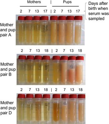 Mirror image serum lipid carrier protein profiles in pup and lactating mother Atlantic grey seals reflect contrasting resource mobilisation challenges